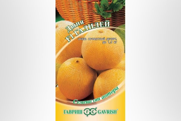 Лучшие сорта дынь: их характеристика и выращивание