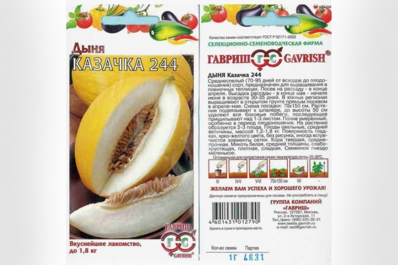 Лучшие сорта дынь: их характеристика и выращивание
