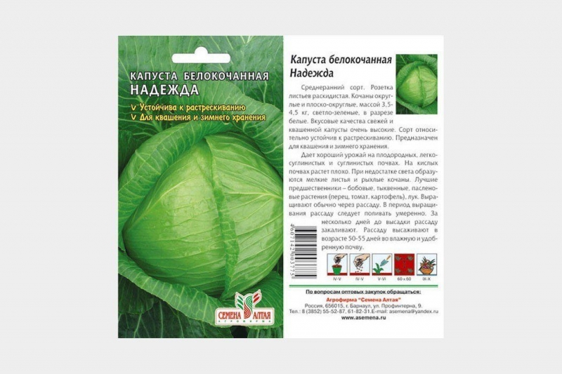 Секреты выращивания белокочанной капусты