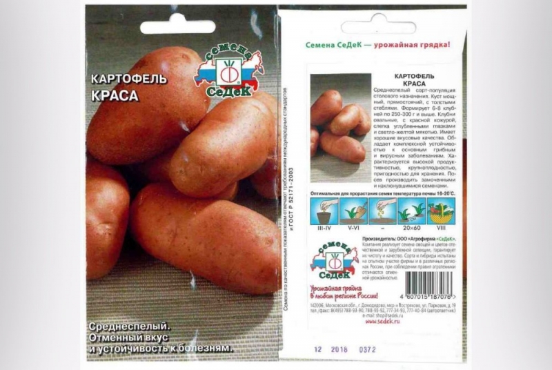 Сорт картофеля «Краса»: описание, выращивание и уход