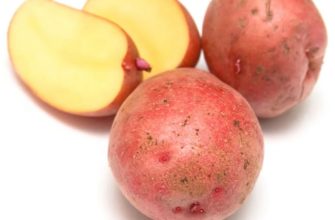 Сорт картофеля Розара – характеристика и описание, отзывы огородников