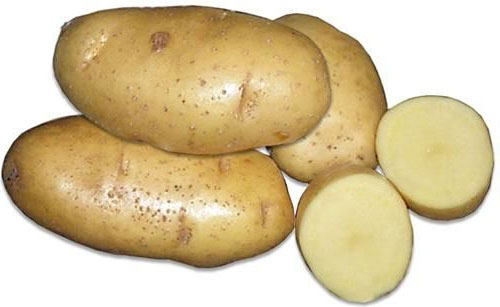 Сорта картофеля Фортуна: характеристика, описание, вкус, отзывы, фото