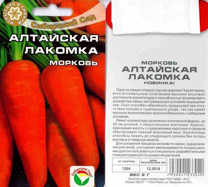Сорта изысканной алтайской моркови: описание, посадка и уход