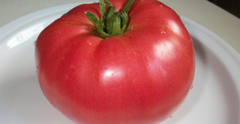 Сорт томата Чудо земли – характеристика, описание плодов, отзывы огородников, фото