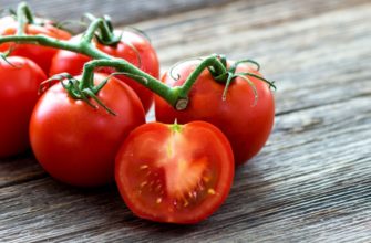 Сорт томатов без вкуса и запаха, которые можно посадить только для красоты