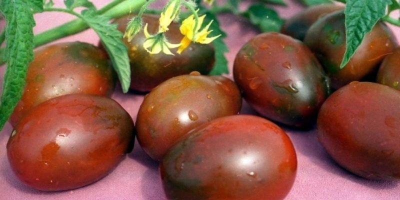 Сорта томатов Де Барао – характеристики, урожайность, фото и отзывы