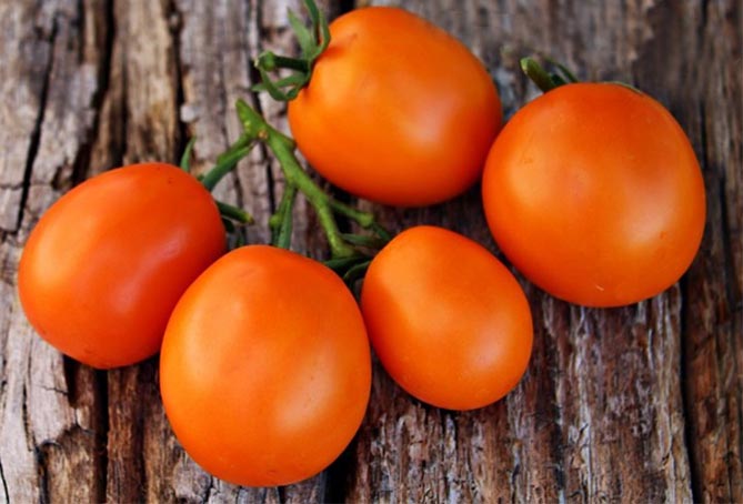 Сорта томатов Де Барао: характеристика, урожайность, фото и отзывы
