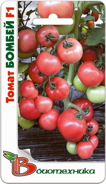 Сорта помидоров, лучшие для поликарбонатных, стеклянных, пленочных теплиц