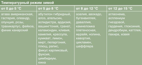 Температура для комнатных растений