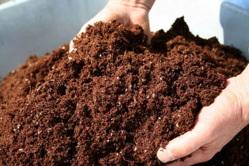 Удобрение почвы перегноем: свойства, правила применения