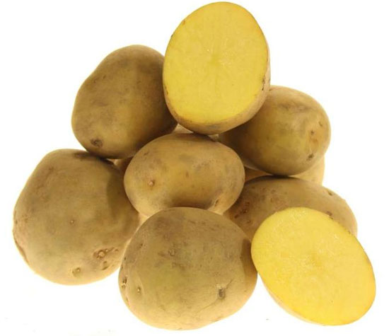Ультраранний и ранний картофель - сорта с фото и описанием, отзывы