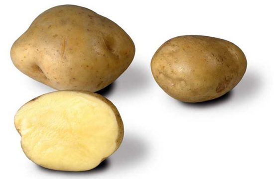 Ультраранний и ранний картофель - сорта с фото и описанием, отзывы