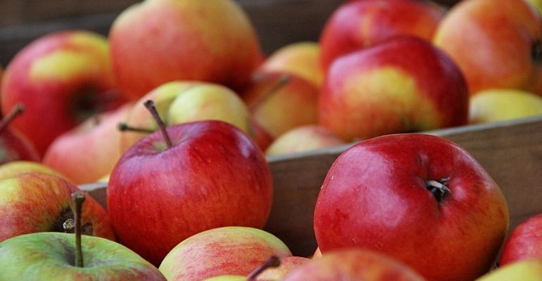 Условия и температура хранения яблок зимой в домашних условиях