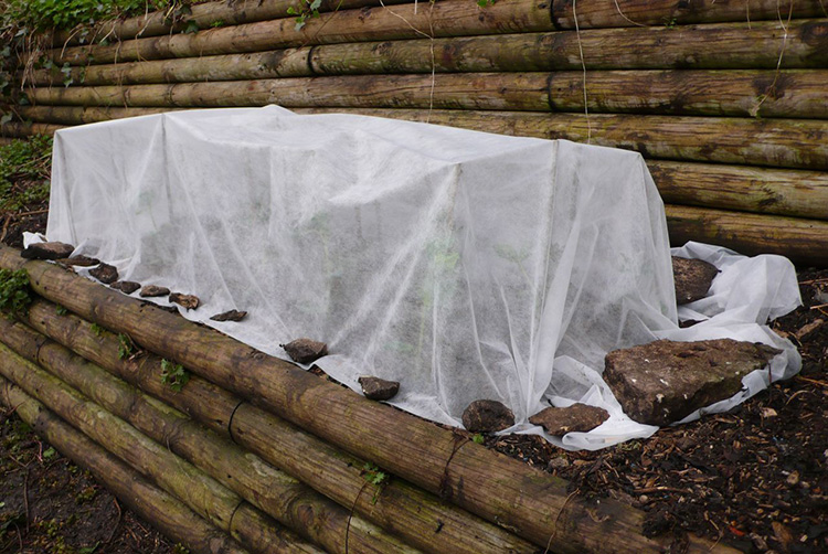 В ожидании весны: как укрыть гортензию на зиму. Как покрываются разные сорта гортензии?