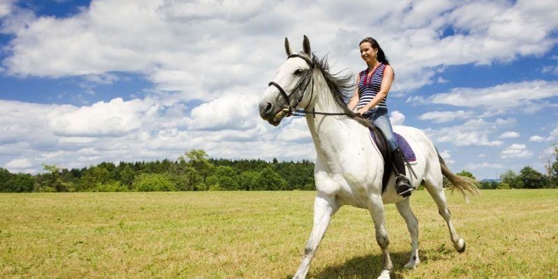 Верховая езда на лошади: этапы обучения и нужная экипировка
