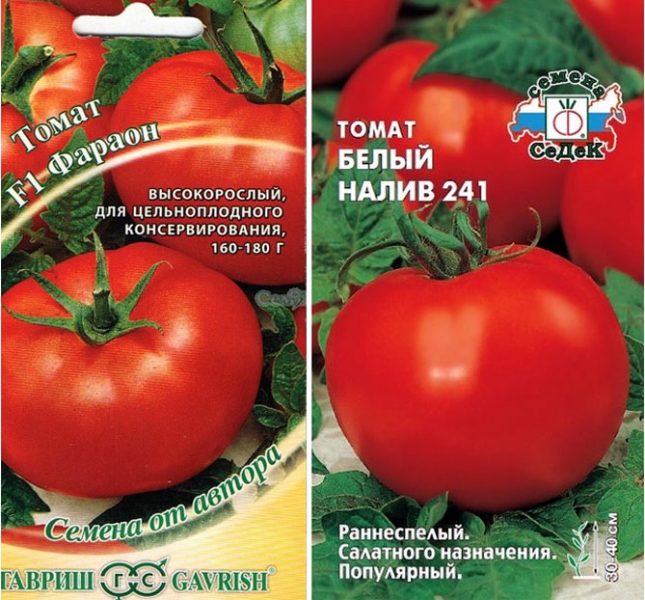 Верхняя гниль помидоров: как вести себя в теплице и в открытом грунте