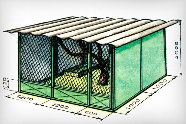 Виды вольеров для цесарок, инструкции по изготовлению и способы разведения птиц