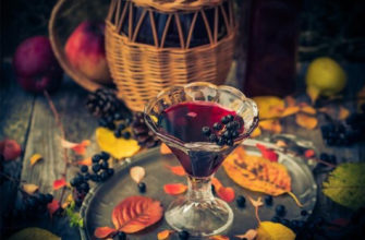 Вино из черноплодки – 4 рецепта: легкое и крепленое