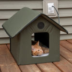 Заботимся о домашнем питомце - домик для кошки в частном доме и на даче - выбираем лучший дом.