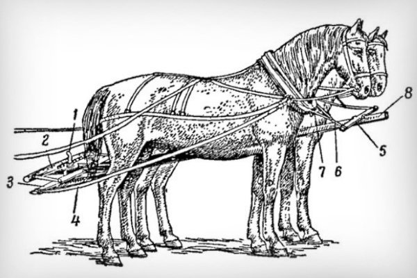 Запряжка лошади: правила и пошаговая инструкция