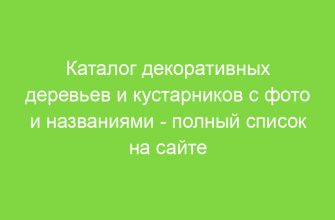 Каталог декоративных деревьев и кустарников с фото и названиями полный список на сайте