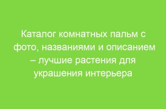 Каталог комнатных пальм с фото, названиями и описанием – лучшие растения для украшения интерьера
