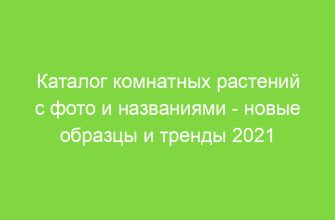 Каталог комнатных растений с фото и названиями новые образцы и тренды 2021