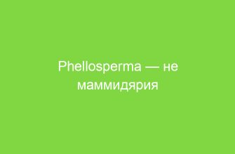 Phellosperma — не маммидярия