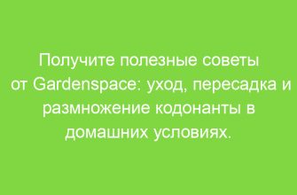 Получите полезные советы от Gardenspace: уход, пересадка и размножение кодонанты в домашних условиях.