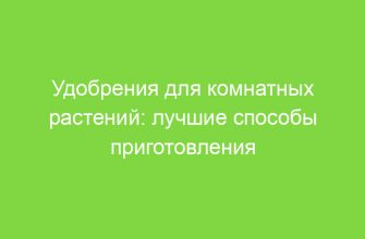 Удобрения для комнатных растений: лучшие способы приготовления