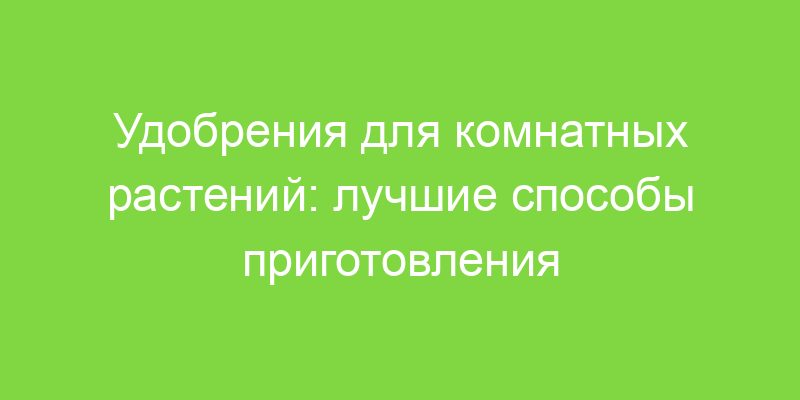 Удобрения для комнатных растений: лучшие способы приготовления