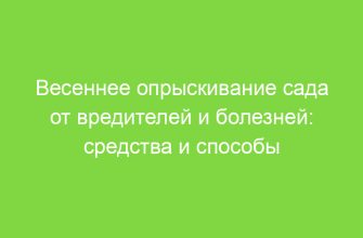 Весеннее опрыскивание сада от вредителей и болезней: средства и способы