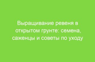 Выращивание ревеня в открытом грунте: семена, саженцы и советы по уходу